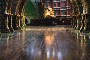 Harry Potter ve Zümrüdüanka Yoldaşlığı Fotoğrafı