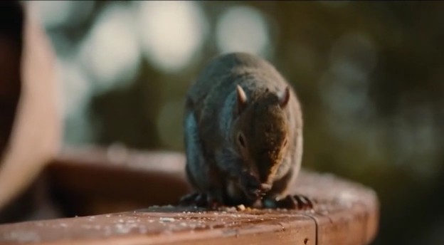 Jakuzi Ekspres Fotoğrafı