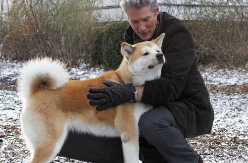 Hachi: Bir Köpeğin Hikayesi Fotoğrafları 27