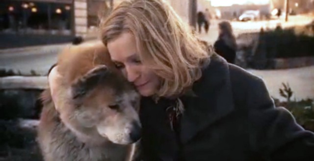 Hachi: Bir Köpeğin Hikayesi Fotoğrafı