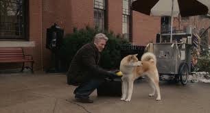Hachi: Bir Köpeğin Hikayesi Fotoğrafı