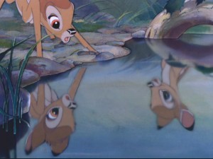 Bambi Fotoğrafları 20