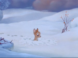 Bambi Fotoğrafları 21