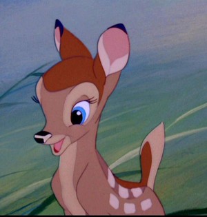 Bambi Fotoğrafları 34