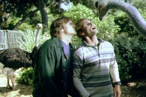 Çılgınlar Ve Sevgililer Fotoğrafı