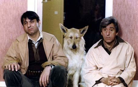 Ils Sont Fous Ces Sorciers Fotoğrafı