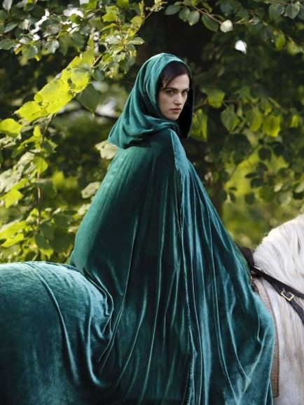 Merlin Fotoğrafı