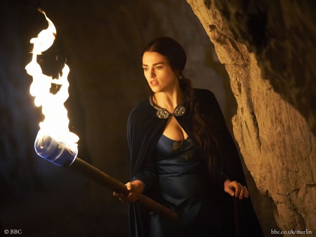 Merlin Fotoğrafı
