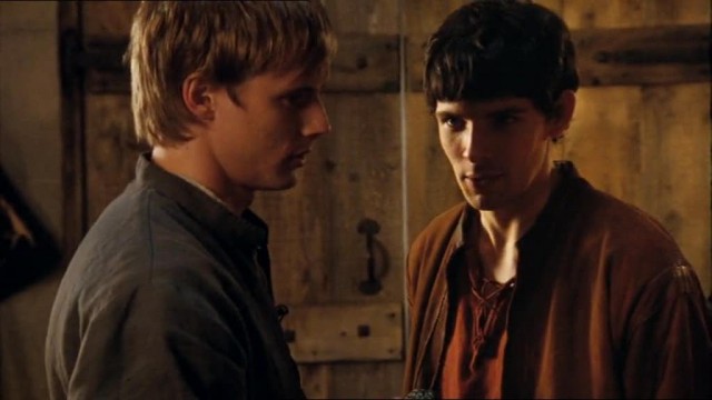 Merlin Fotoğrafı