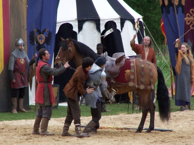 Merlin Fotoğrafı