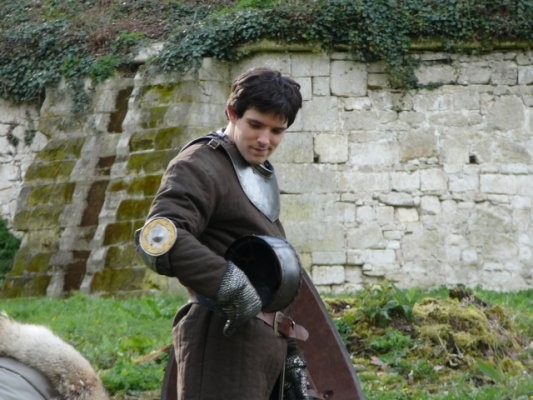 Merlin Fotoğrafı