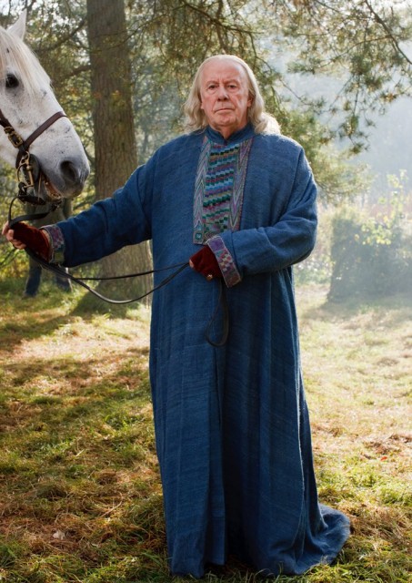 Merlin Fotoğrafı