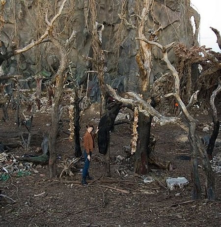 Predators Fotoğrafı