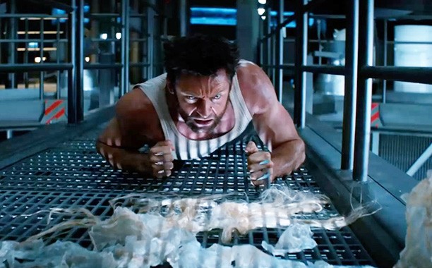 Wolverine Fotoğrafı