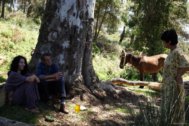 Barakat Fotoğrafları 3