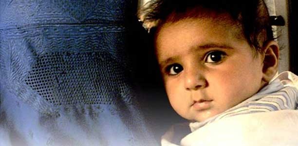 Kabuli Kid Fotoğrafı