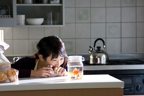 Fuyajo Fotoğrafı