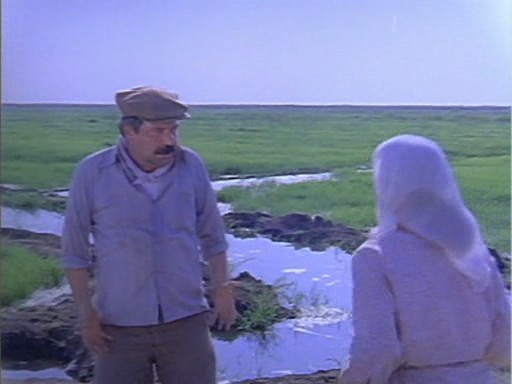 Kurbağalar fotoğrafı