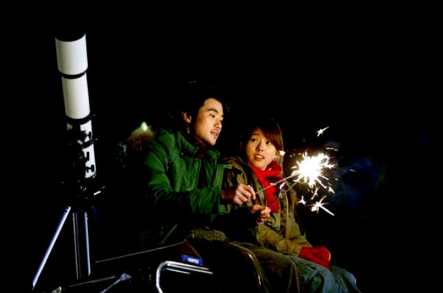 Three Leaf Clover Fotoğrafı