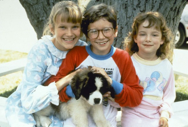 Afacan Köpek Beethoven Fotoğrafı