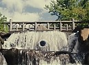 Şirinler Fotoğrafı