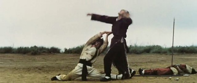 Shaolin'in Yılan Ve Turna Tekniği Fotoğrafı
