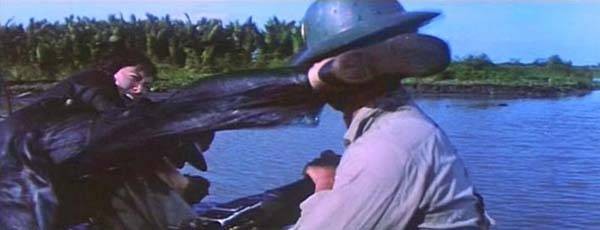 Eastern Condors Fotoğrafı