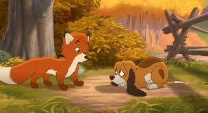 Tilki Ve Avcı Köpeği Fotoğrafı