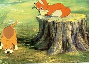 Tilki Ve Avcı Köpeği Fotoğrafı