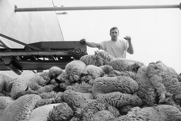 Meat Fotoğrafı