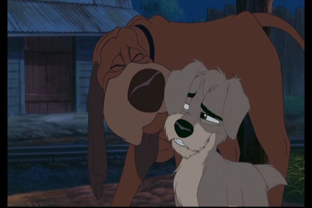 Lady And The Tramp II: Scamp's Adventure Fotoğrafları 15