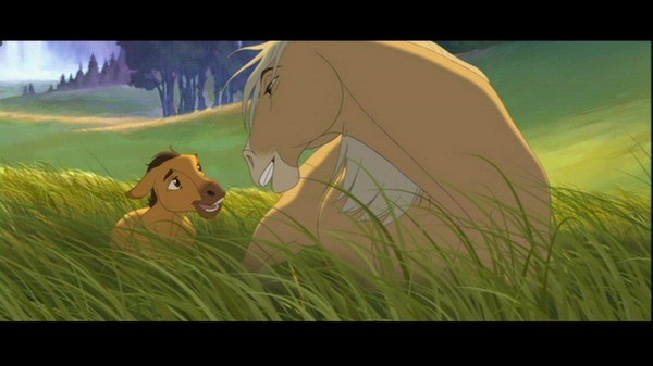 Özgür Ruh Fotoğrafı