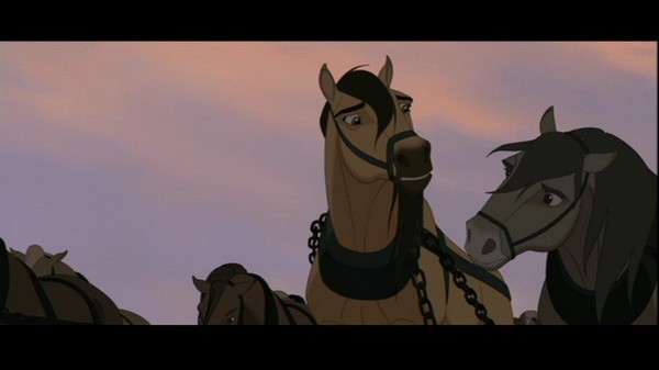 Özgür Ruh Fotoğrafı