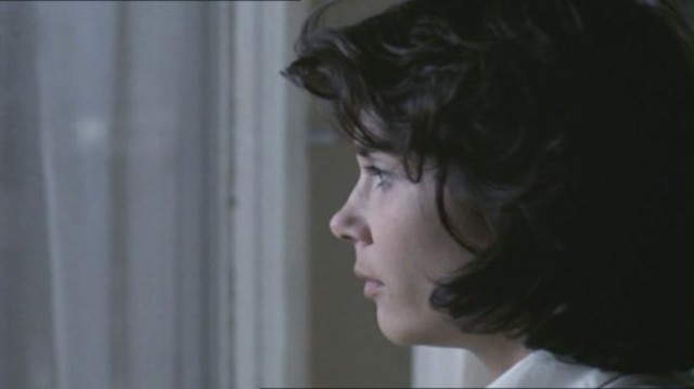 Yedinci Kıta Fotoğrafı