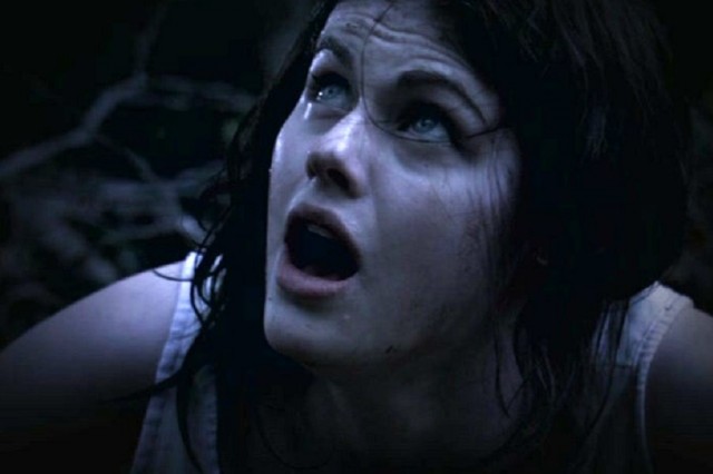 The Attic Fotoğrafı