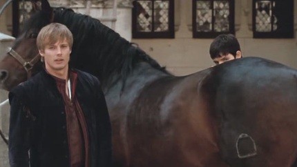 Merlin Fotoğrafı