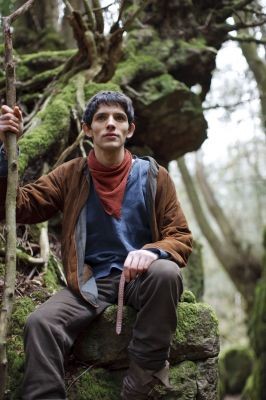 Merlin Fotoğrafı