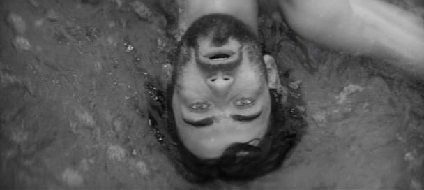 Valley Of The Bees Fotoğrafı