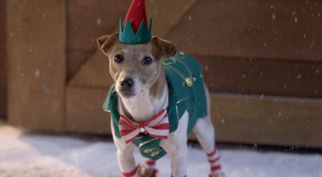 Santa Buddies Fotoğrafı