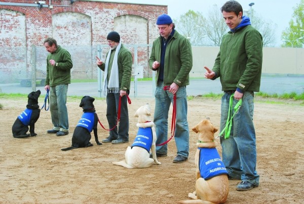 Underdogs Fotoğrafı