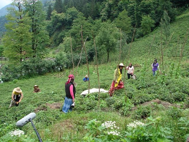 Off Karadeniz Fotoğrafları 13