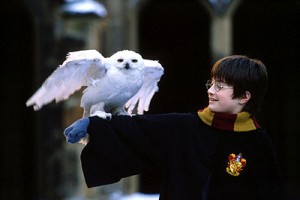 Harry Potter ve Felsefe Taşı Fotoğrafları 7