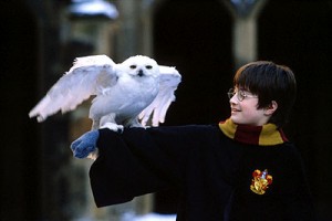 Harry Potter ve Felsefe Taşı Fotoğrafı