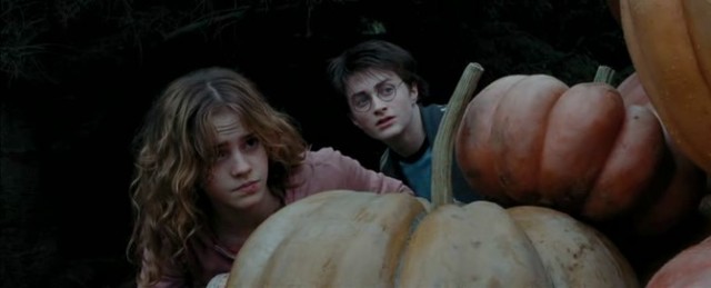Harry Potter ve Azkaban Tutsağı Fotoğrafı
