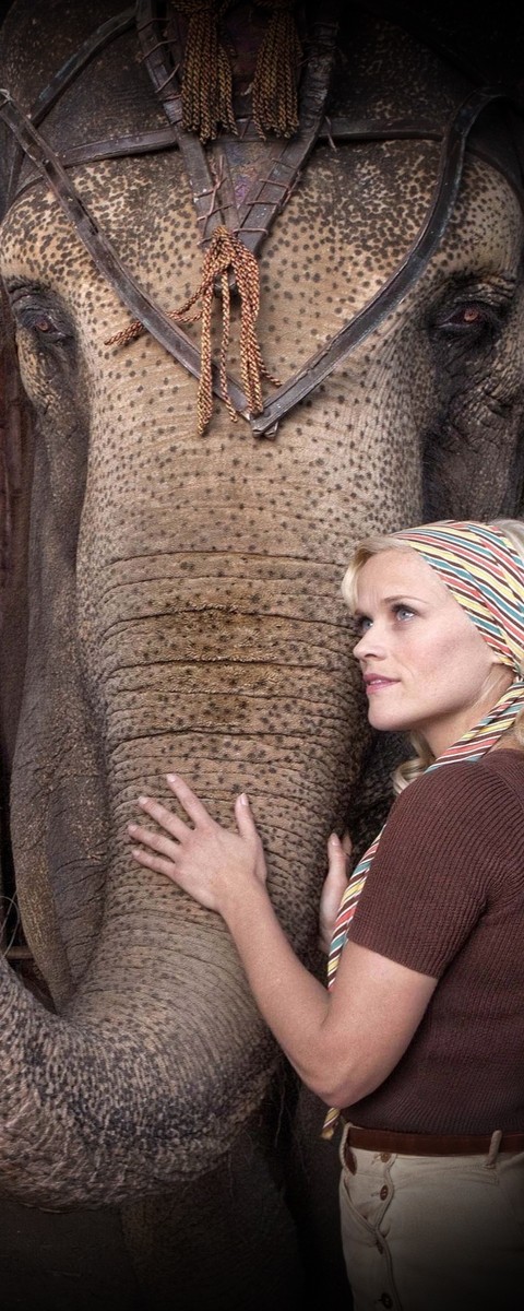 Aşkın Büyüsü Fotoğrafı