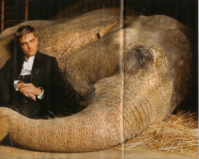 Aşkın Büyüsü Fotoğrafı