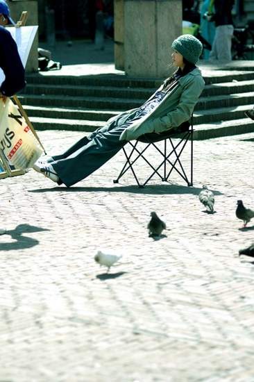 Papatya Fotoğrafı