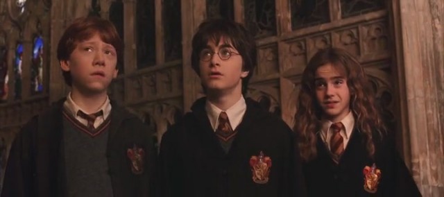 Harry Potter ve Sırlar Odası Fotoğrafları 53