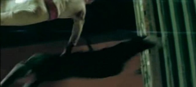 Fatal Contact Fotoğrafı