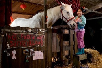 Winky's Horse Fotoğrafı
